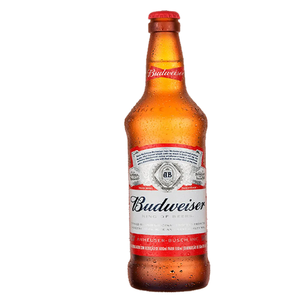 Cerveja Budweiser 330ml Cerveja Budweiser Long Neck 330ml - Imagem 1