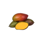 Manga Palmer Kg