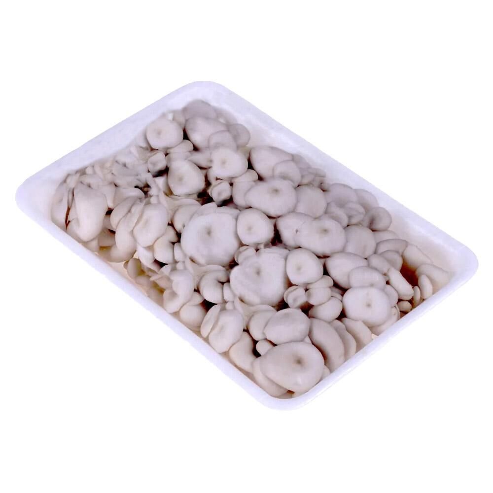 Cogumelo Shimeji Cogumelos Shimeji Branco Pré Lavado Bandeja 200g - Imagem 1