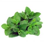 Kafta Vegana - Kit Receita - Imagem 9