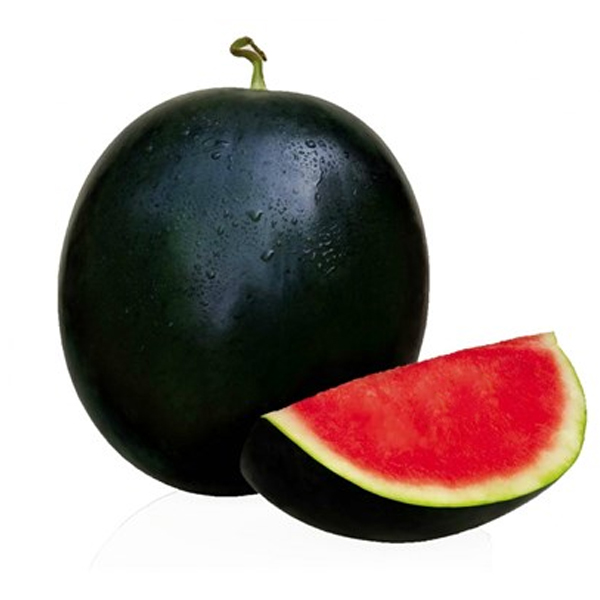 Melancia sem Semente Melancia Baby Sem Semente KG - Imagem 1