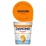 Iogurte Danone Natural Lar. Cenoura E Mel 160g